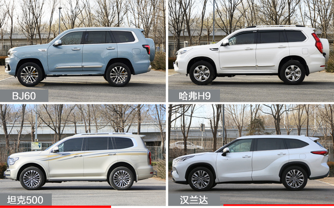 BJ60/Haval H9/Tank 500/Highlander horizontal comment on who is the city wild king - Figure 3